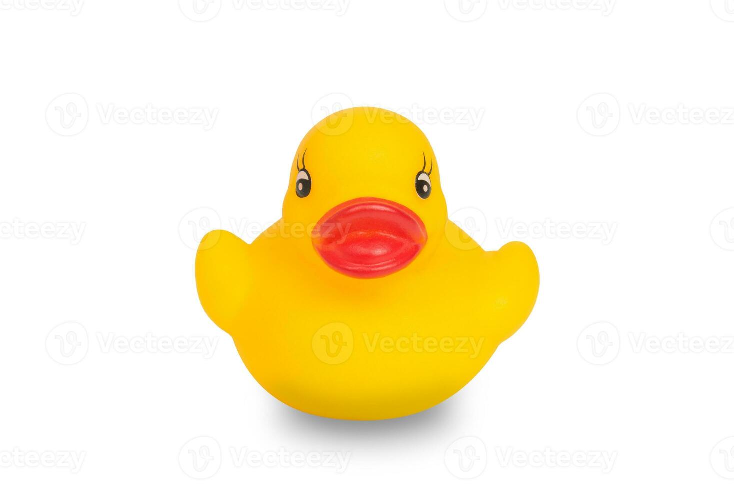 Yellow rubber duck on White Background photo