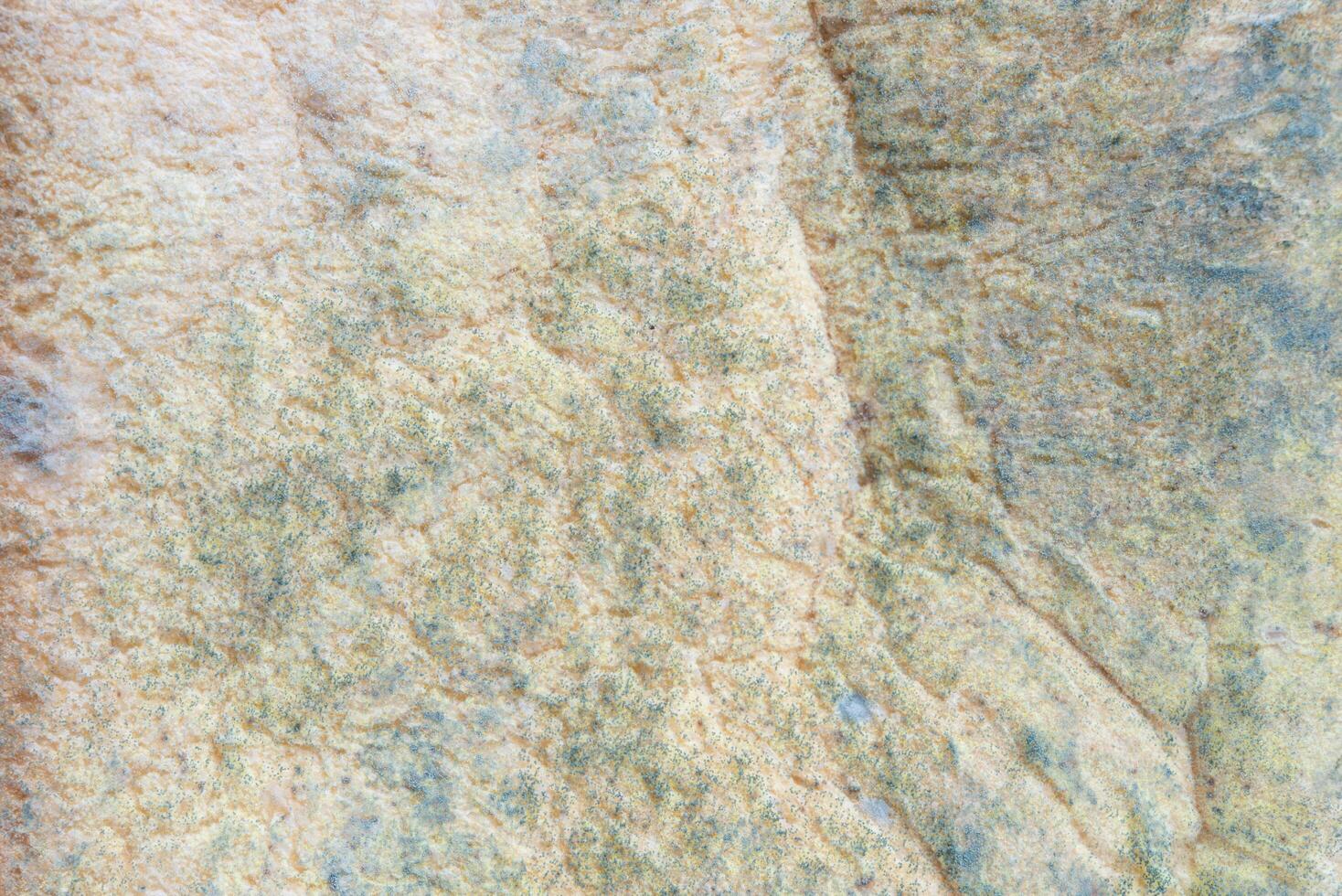 Mold on bread photo