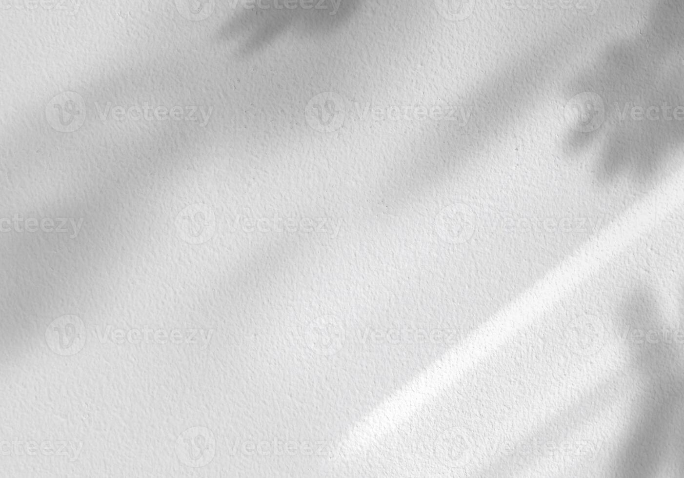 Leaves shadow with sunbeam reflection on grey concrete wall background,Studio background with abstract light,shade on Cement floor,Empty Backdrop display for product presentation photo