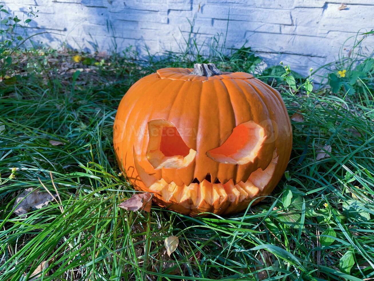 Pumpkin Jack O' Lantern with light inside in garden with pumpkins in the background. Autumn leaves on the ground. Grass, soil, fire. Day light. photo