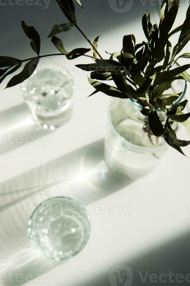 A glass vase with a green plant and two glasses of water on a white table. photo