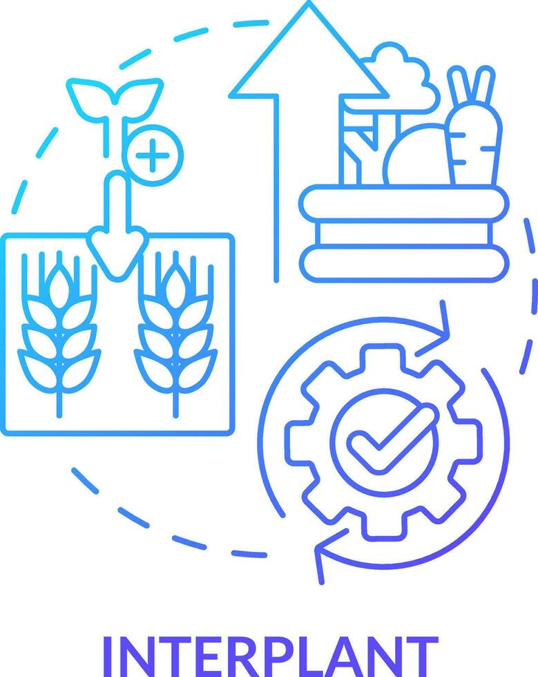 entreplantar azul degradado concepto icono. planta múltiple culturas creciente agricultura productividad resumen idea Delgado línea ilustración. aislado contorno dibujo vector