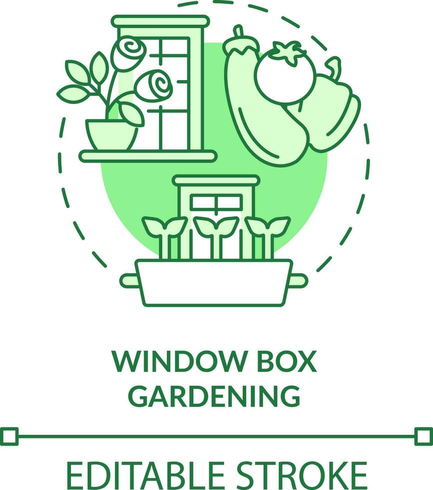 Window box gardening green concept icon. Windosill containers. Gardening method abstract idea thin line illustration. Isolated outline drawing. Editable stroke vector