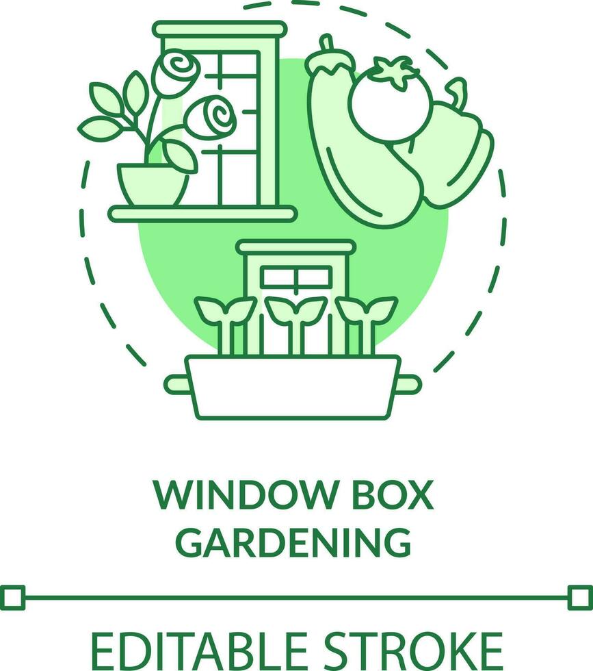 ventana caja jardinería verde concepto icono. antepecho contenedores jardinería método resumen idea Delgado línea ilustración. aislado contorno dibujo. editable carrera vector