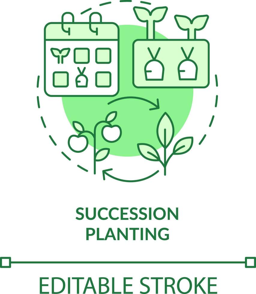 Succession planting green concept icon. One crop following another. Gardening method abstract idea thin line illustration. Isolated outline drawing. Editable stroke vector