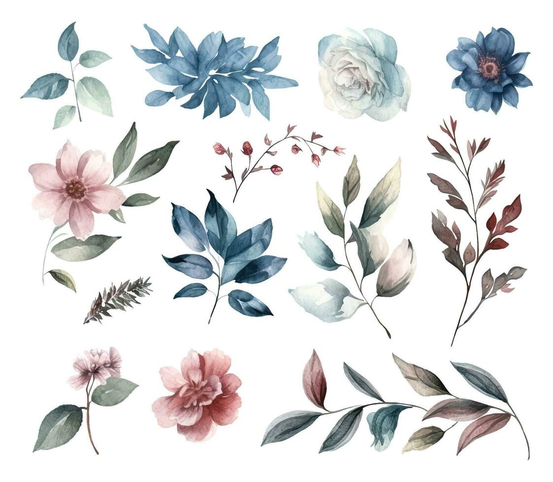 Set of watercolor flowers leaves and twigs on a white background vector