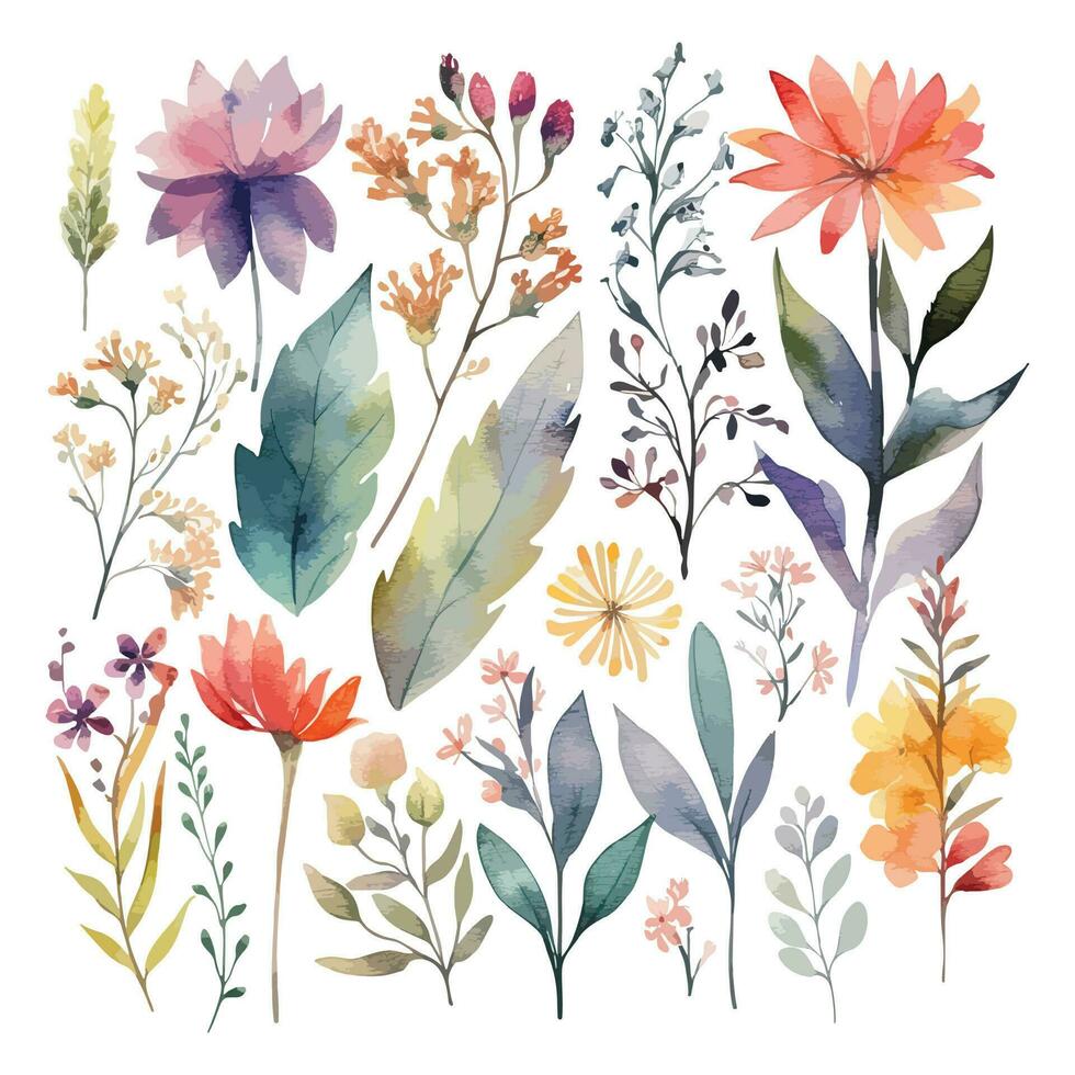 Set of watercolor flowers leaves and twigs on a white background vector