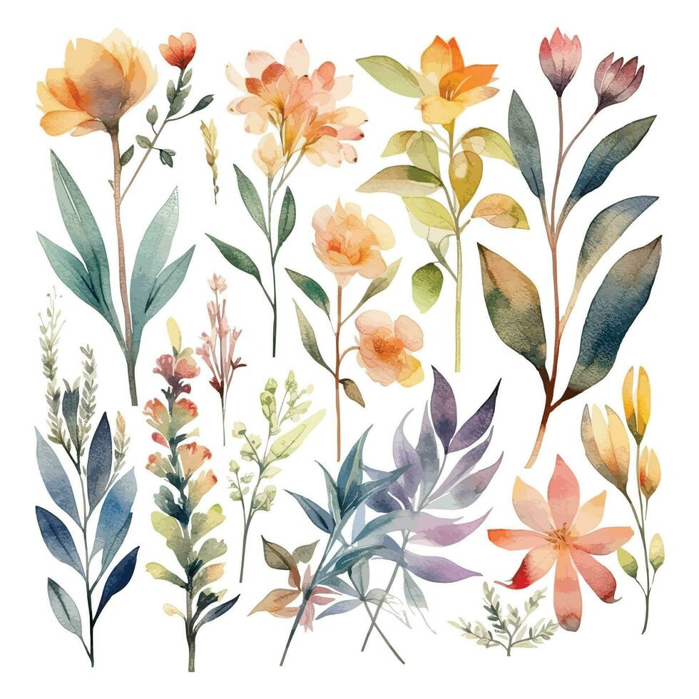 Set of watercolor flowers leaves and twigs on a white background vector