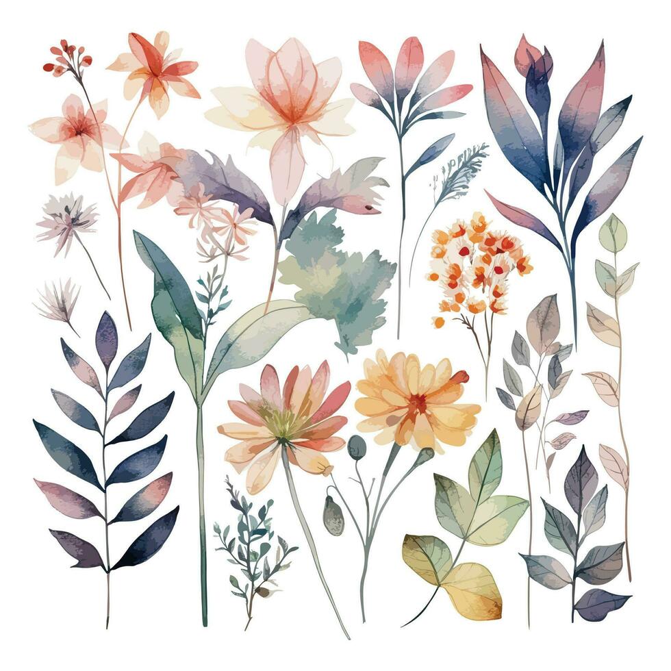 Set of watercolor flowers leaves and twigs on a white background vector