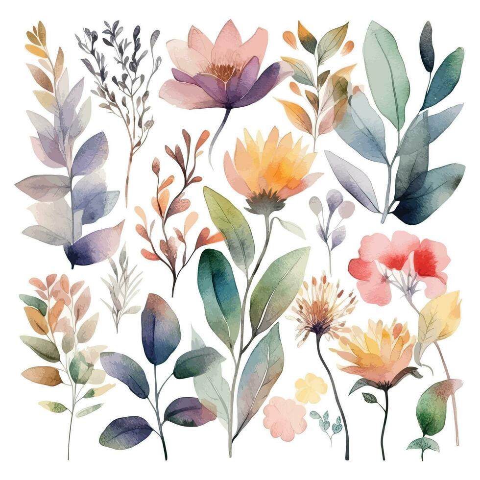 Set of watercolor flowers leaves and twigs on a white background vector