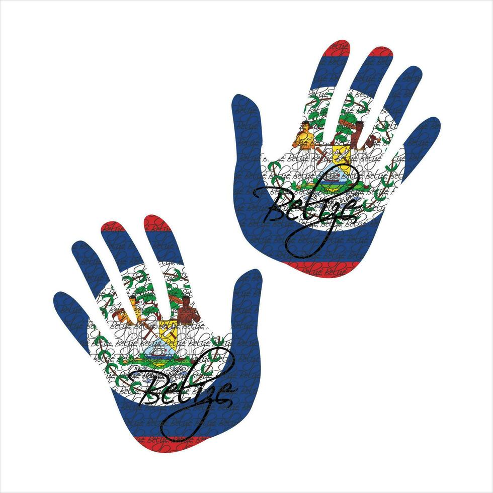 belize flag hand vector