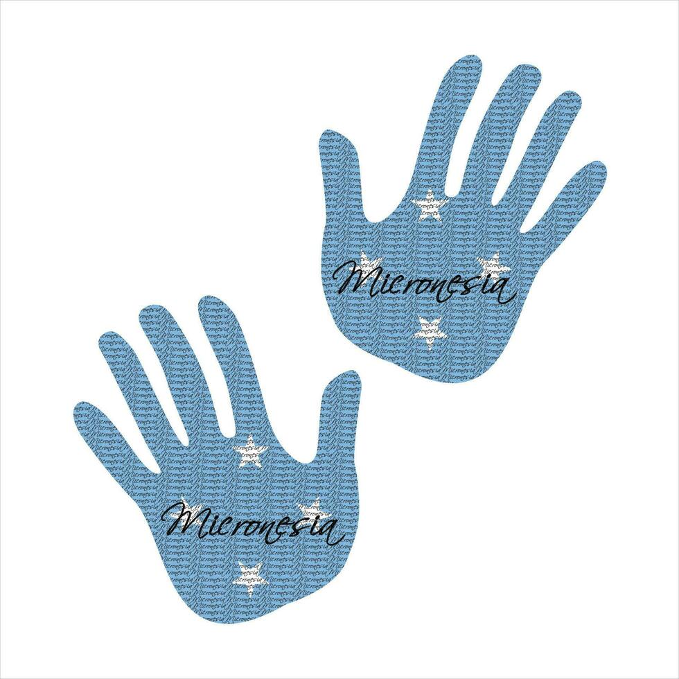 micronesia flag hand vector