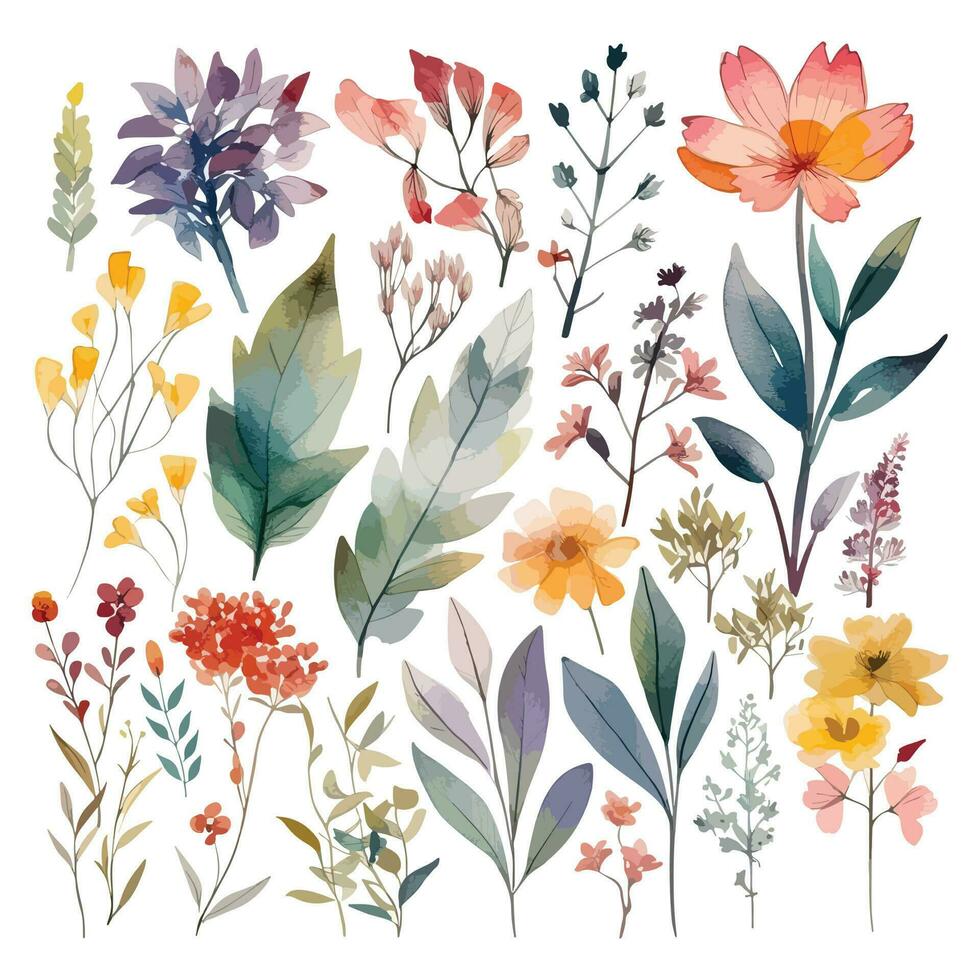 Set of watercolor flowers leaves and twigs on a white background vector