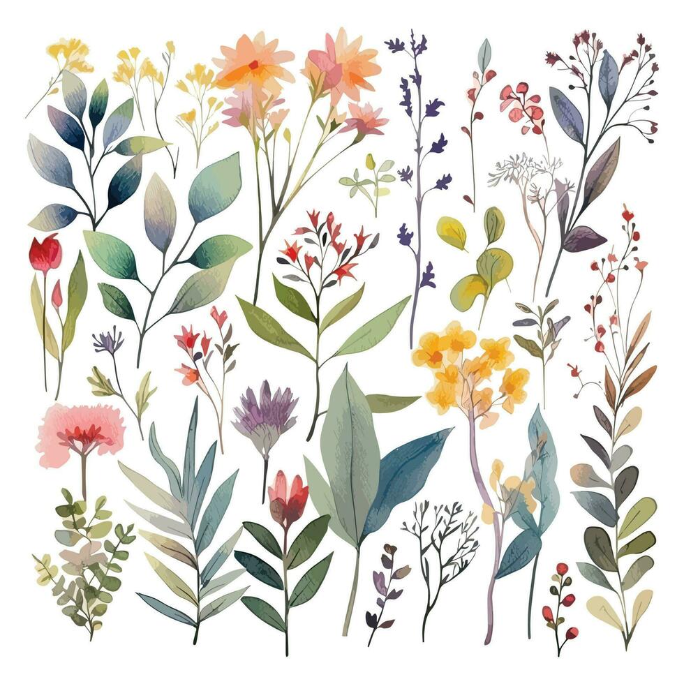 Set of watercolor flowers leaves and twigs on a white background vector