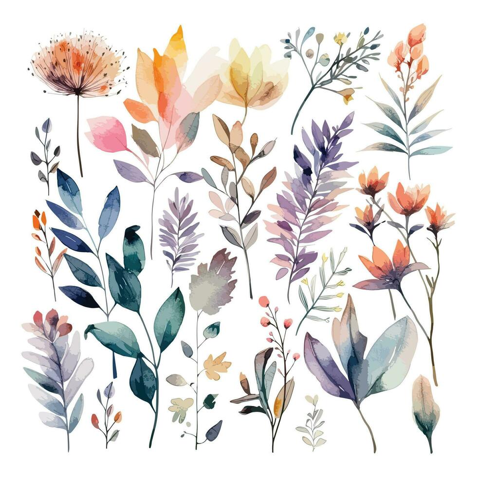 Set of watercolor flowers leaves and twigs on a white background vector