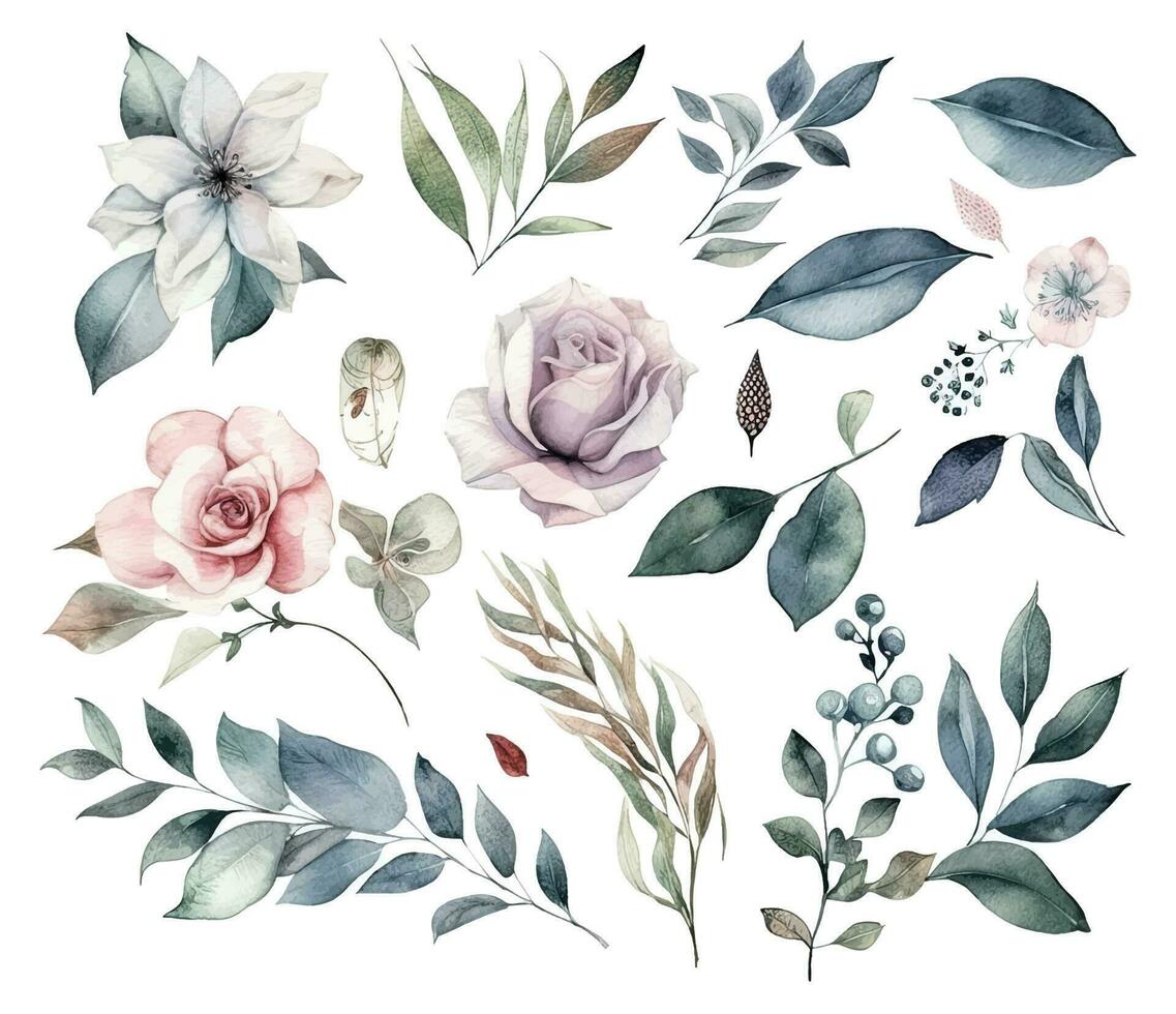 Set of watercolor flowers leaves and twigs on a white background vector