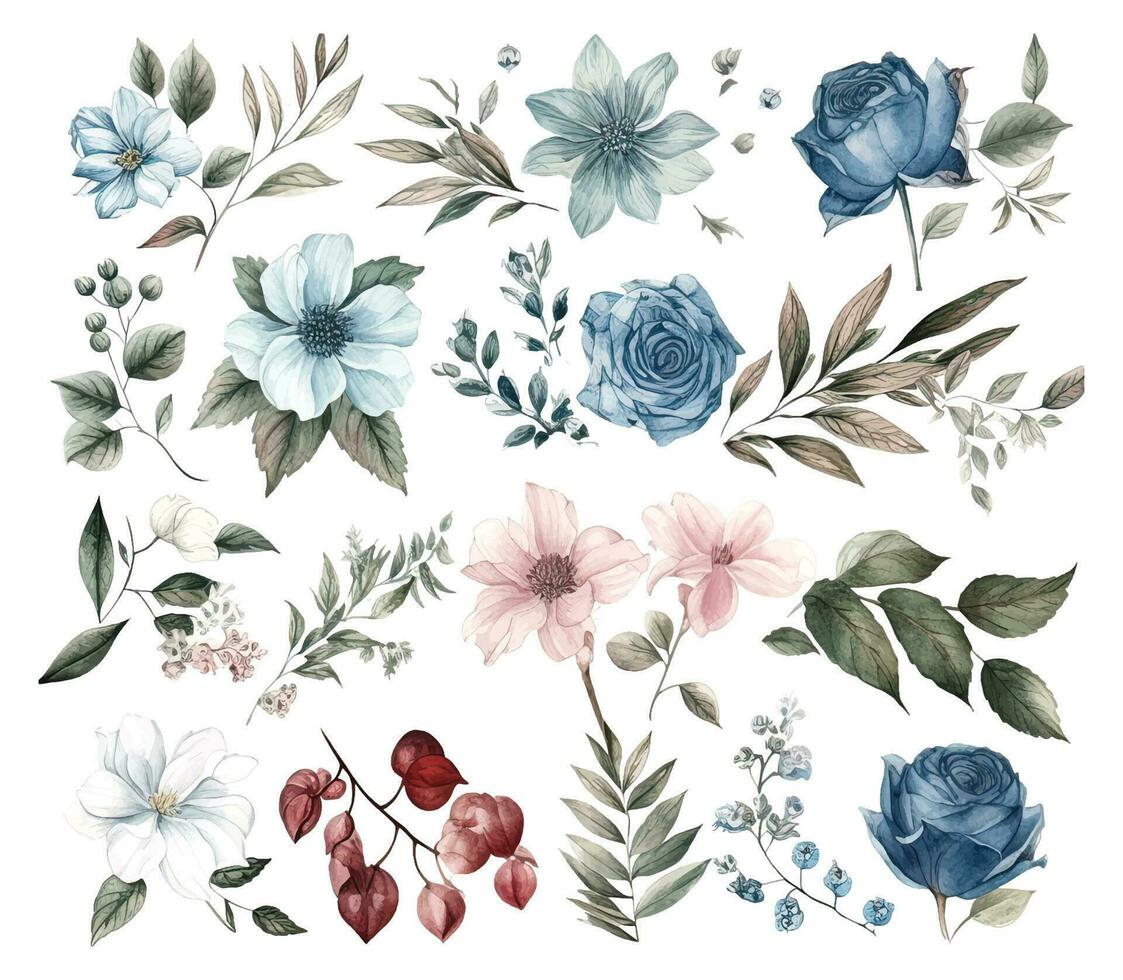 Set of watercolor flowers leaves and twigs on a white background vector