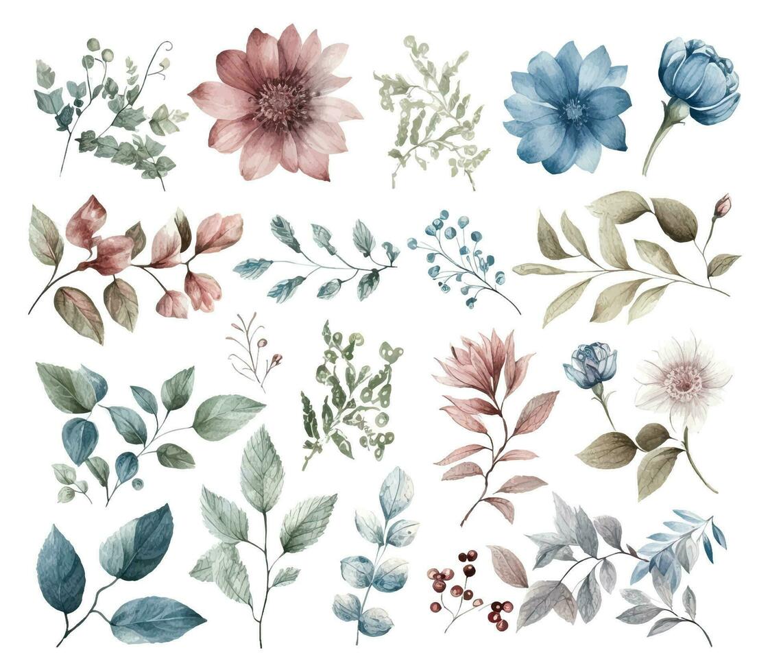 Set of watercolor flowers leaves and twigs on a white background vector