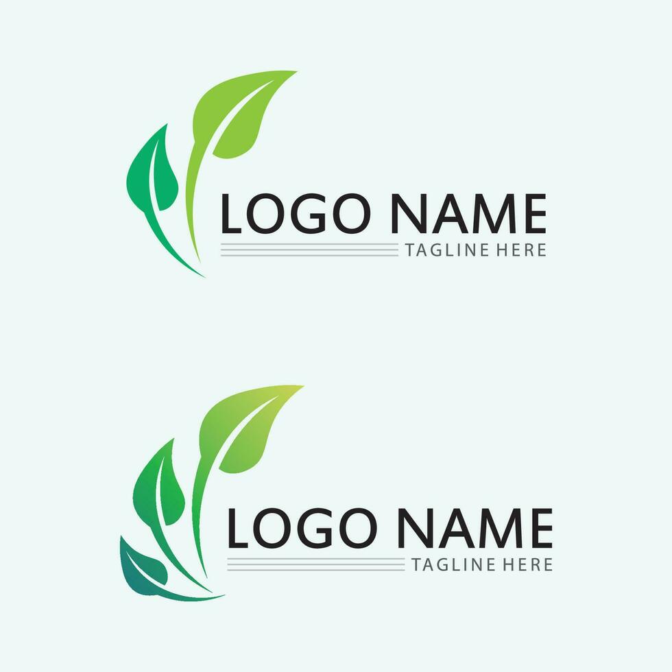 leaf logo design vector for nature symbol template editable,Green leaf logo ecology nature element vector icon.