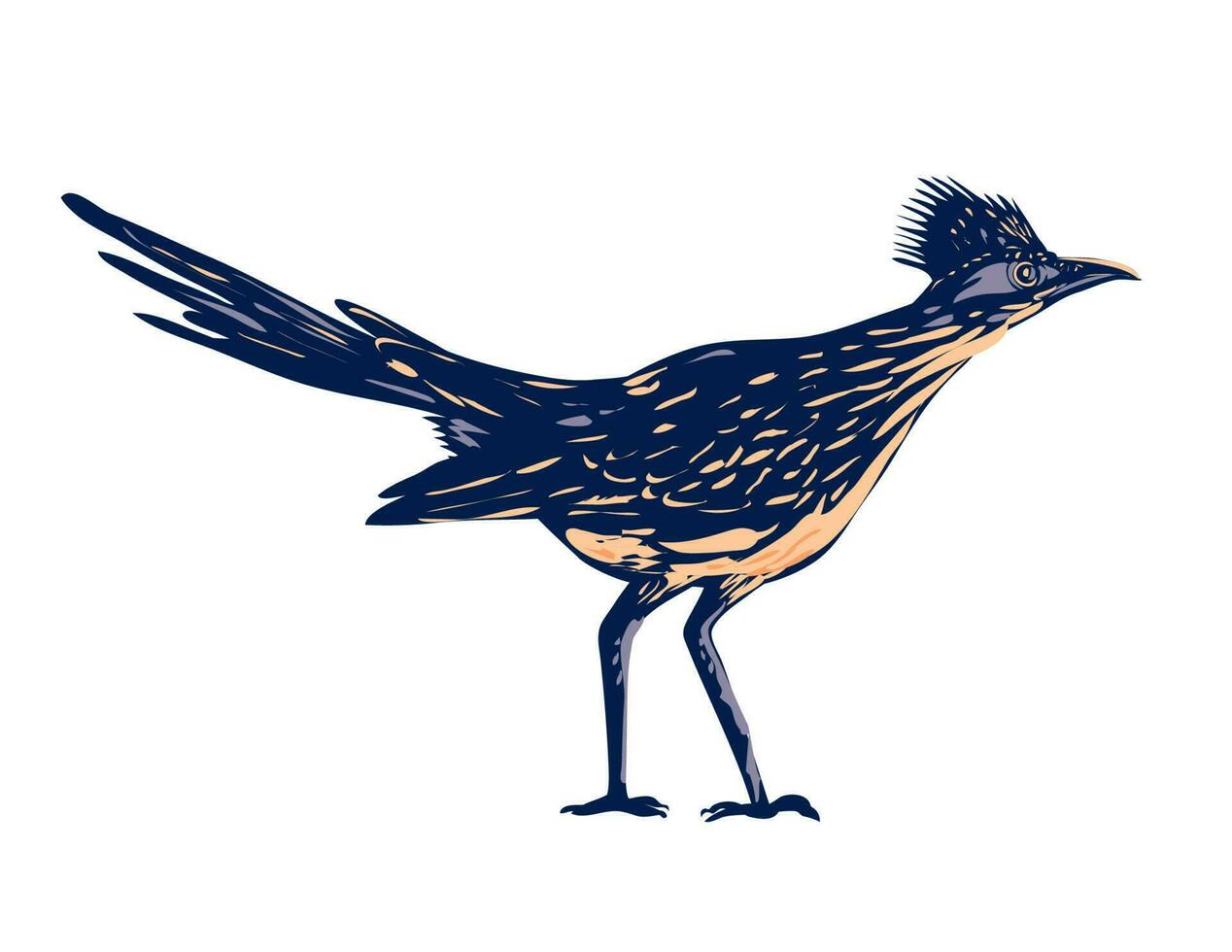 Roadrunner or Chaparral Bird Side View WPA Poster Art vector