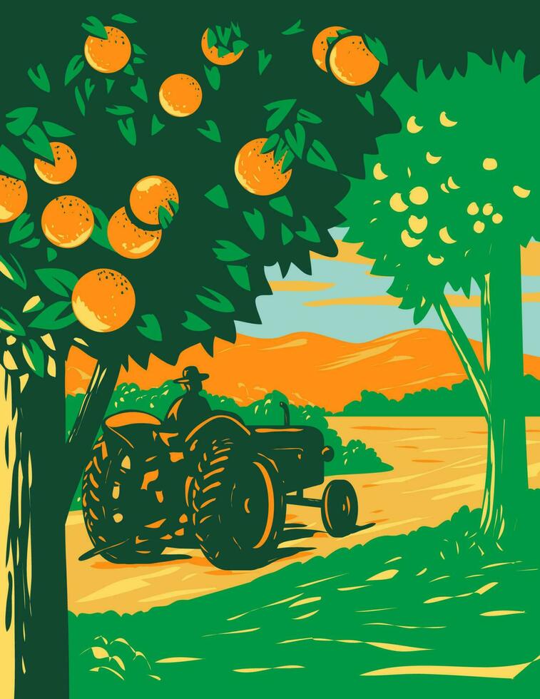 naranja arboleda en central Florida con granjero conducción Clásico tractor wpa Arte deco póster vector