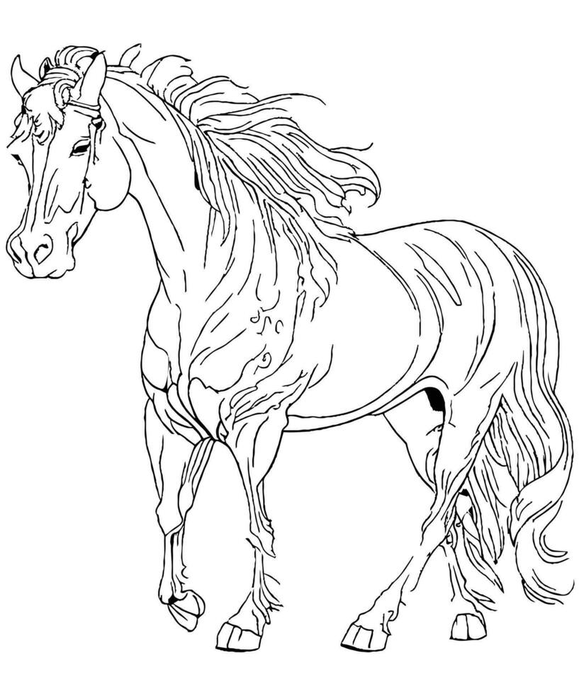hermosa caballo línea Arte colorante página para caballo colorante libro vector