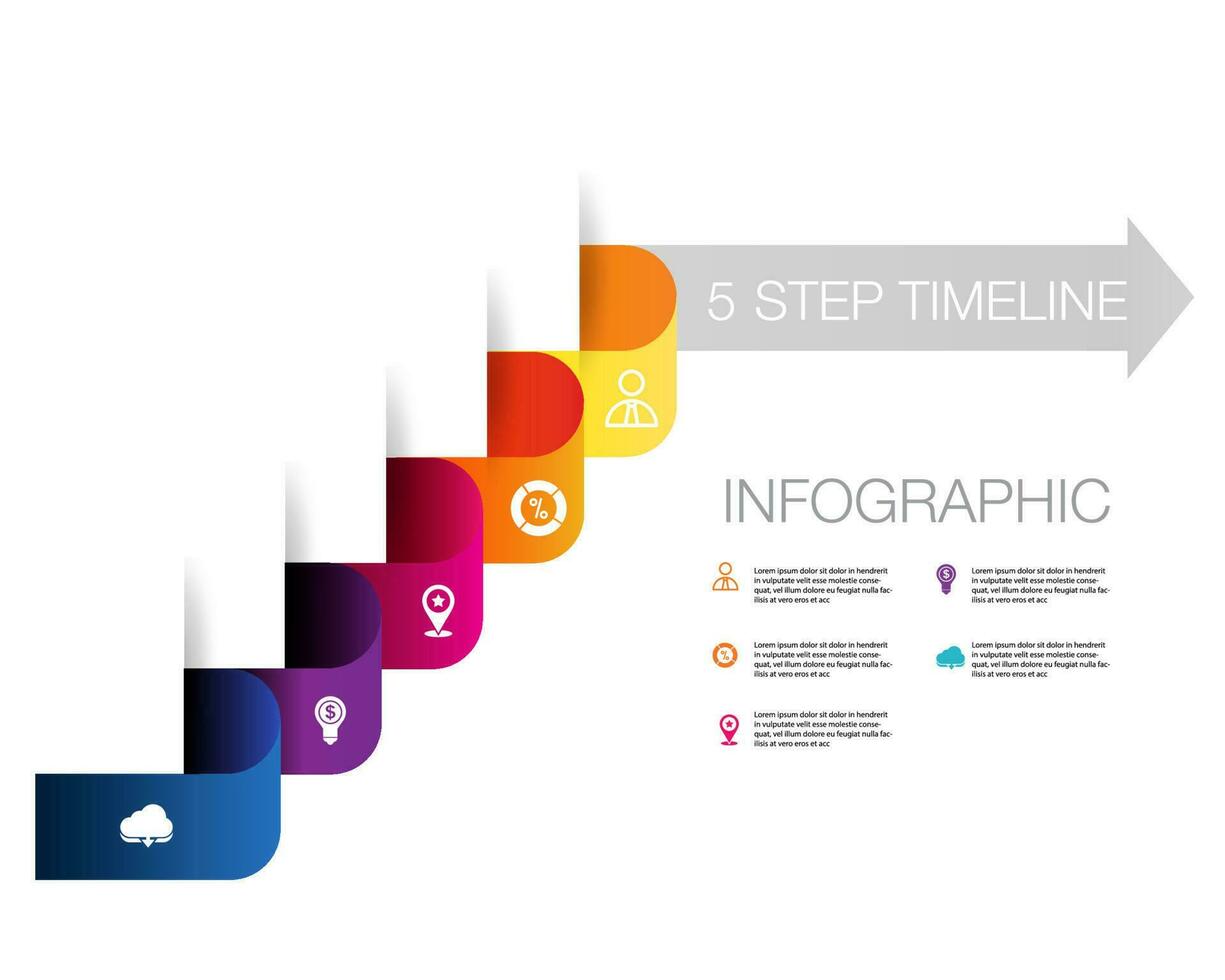 5 step arrow infographic vector