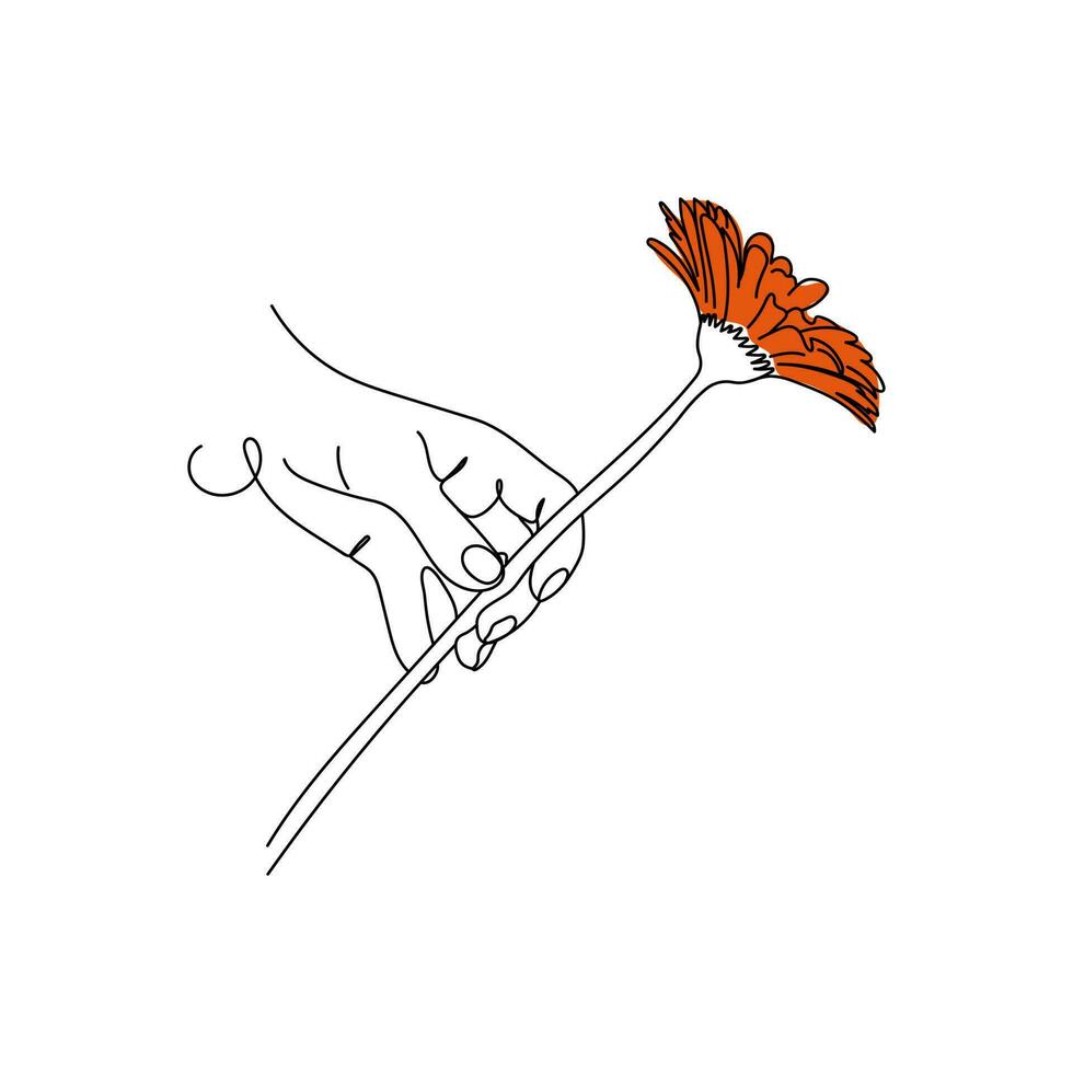 mano participación un soltero gerbera flor. línea Arte. mano dibujado vector ilustración.