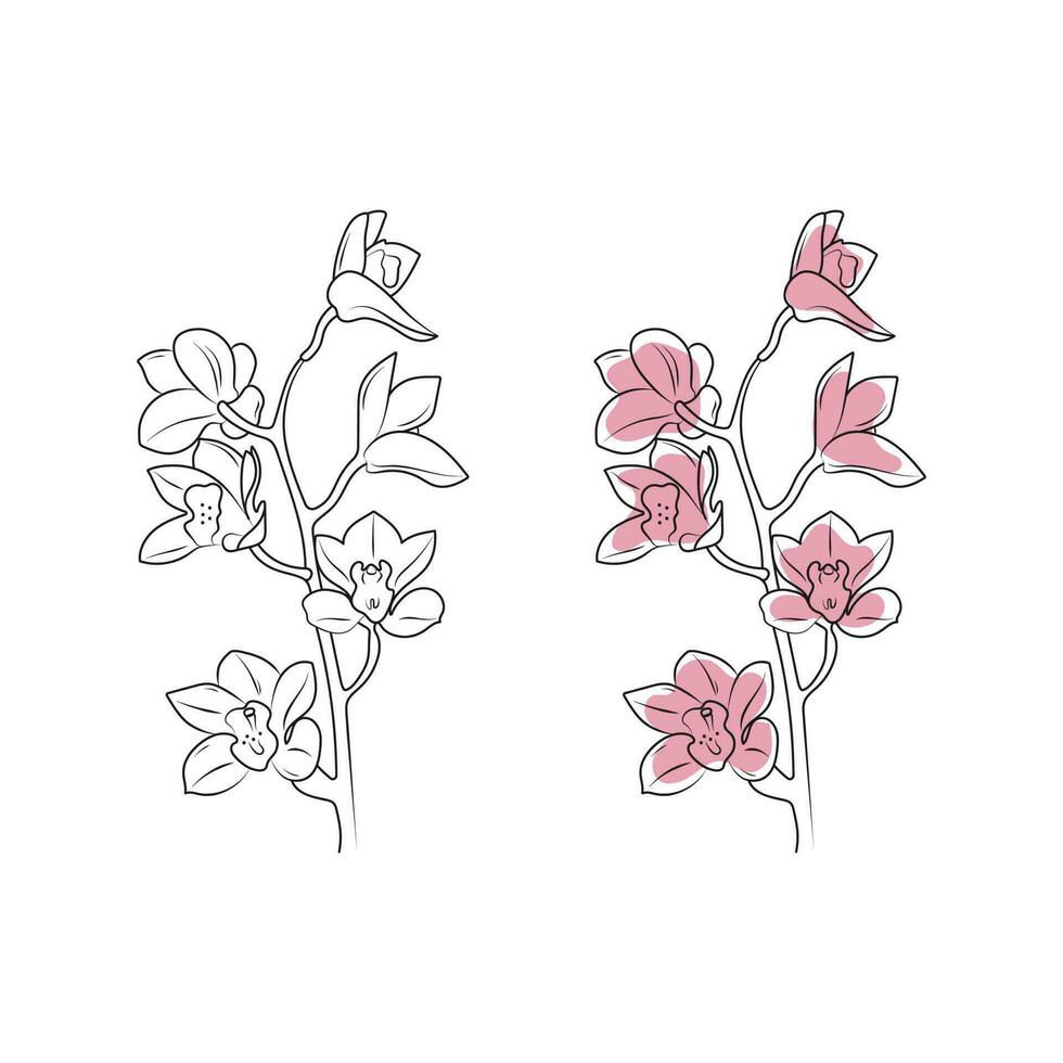 rosado orquídea. tropical flor. línea Arte. mano dibujado vector ilustración.