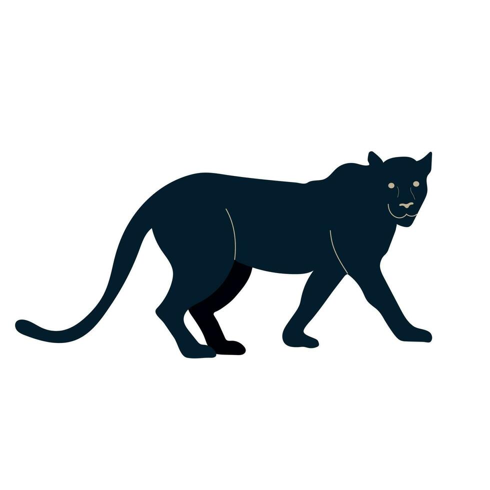 Black panther vector illustration isolated on white background. Side view.