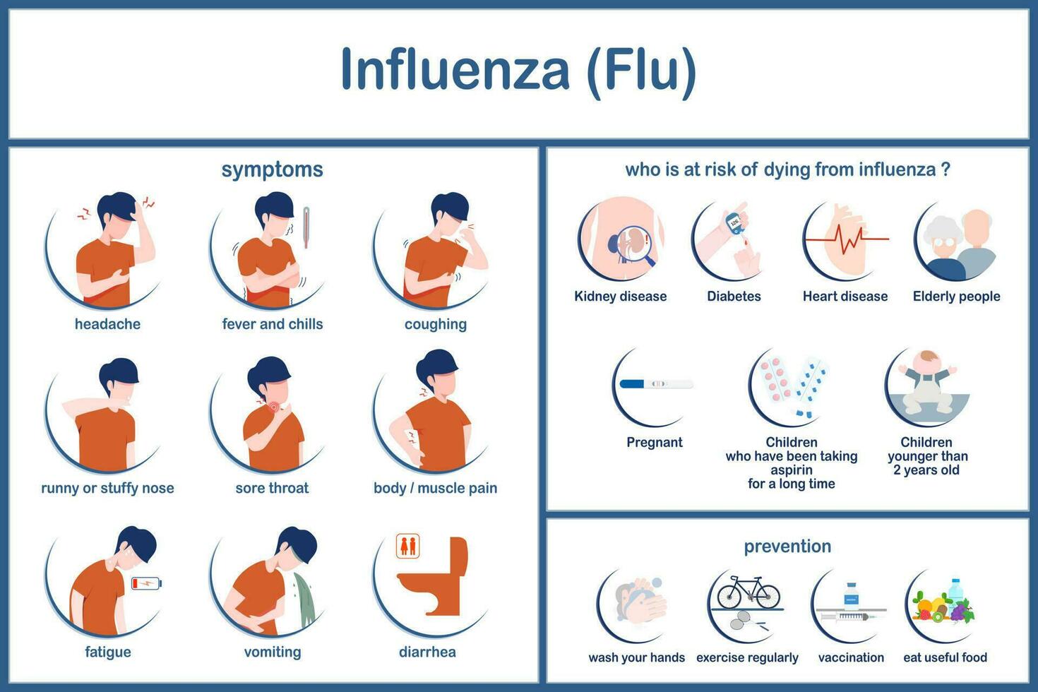 Vector illustration Infographic of influenza symptoms,risk factors and prevention.flat style.