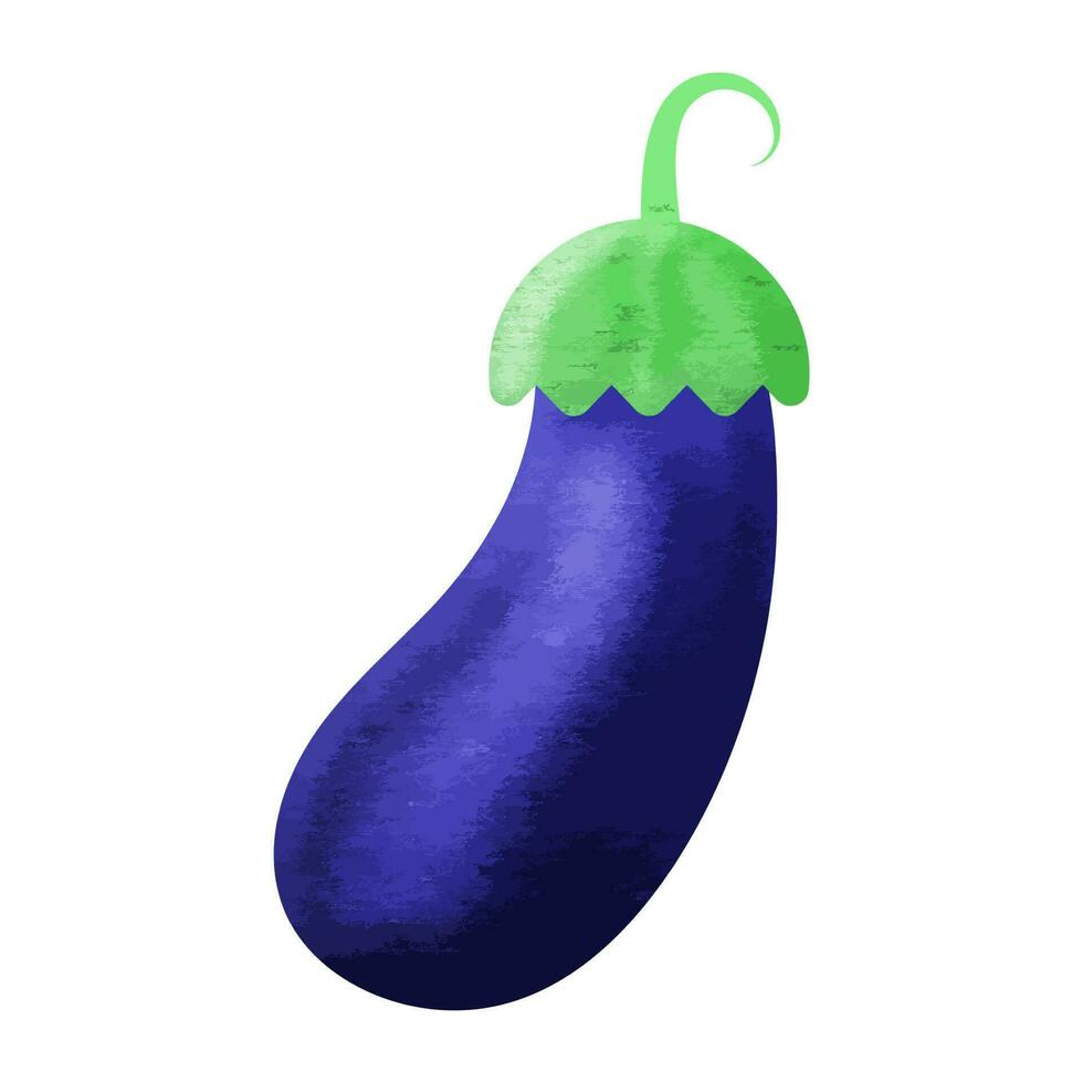 Eggplant Isolated Element. vector