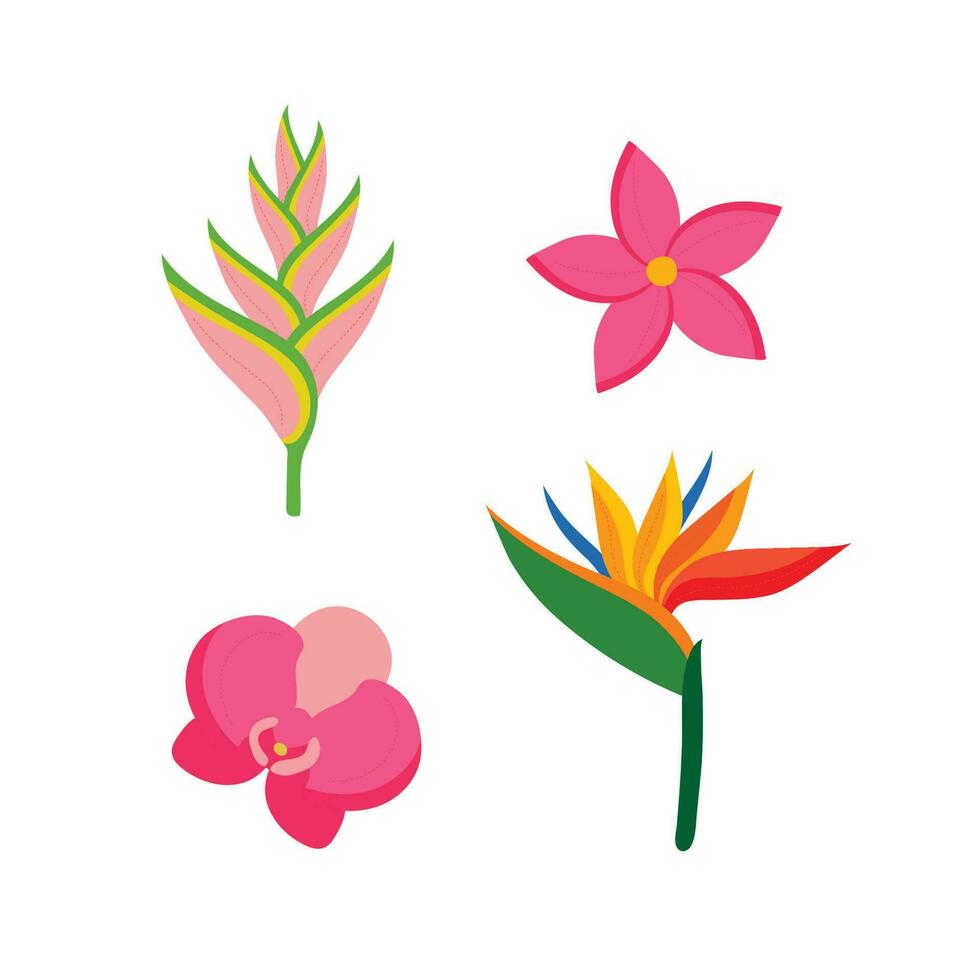 beautiful tropical flowers vector