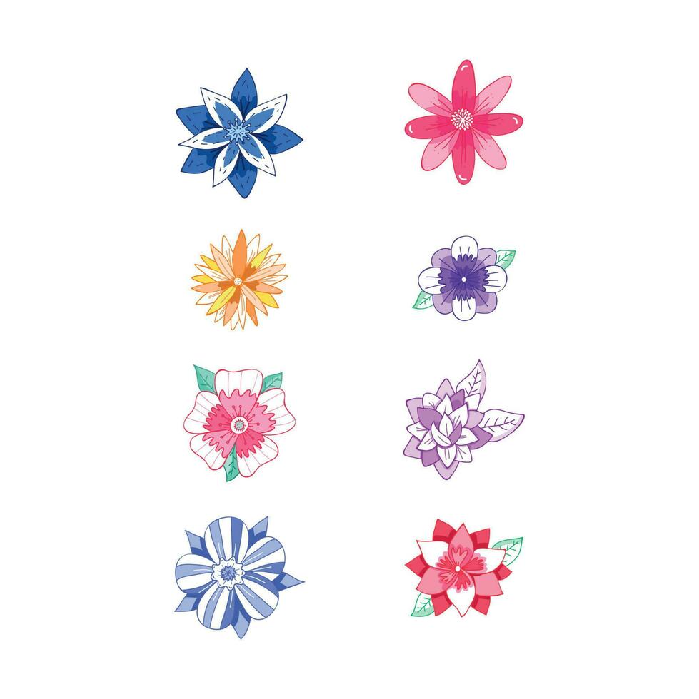 collection of colourful flowers vector
