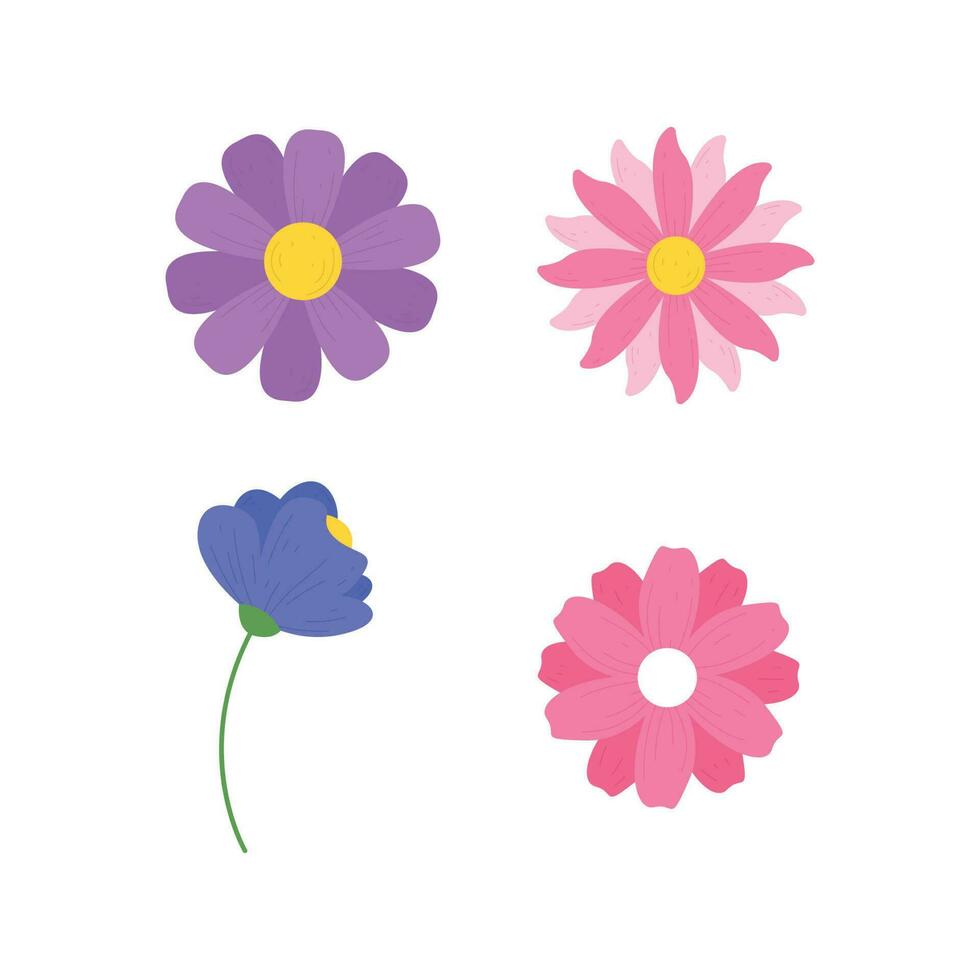 beautiful spring flowers collection vector
