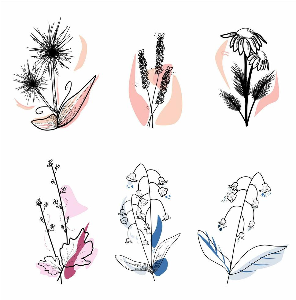 Flower aesthetic with shape collection vector