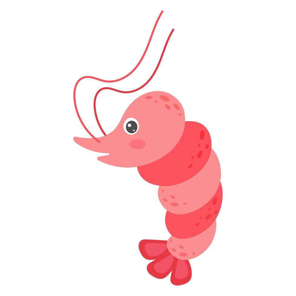 Cartoon shrimp. Sea animal. Vector illustration.