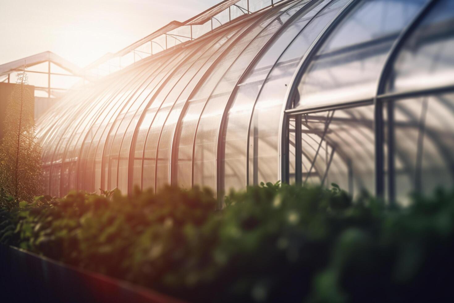 Futuristic Greenhouse in the Glow of the Evening Sun photo