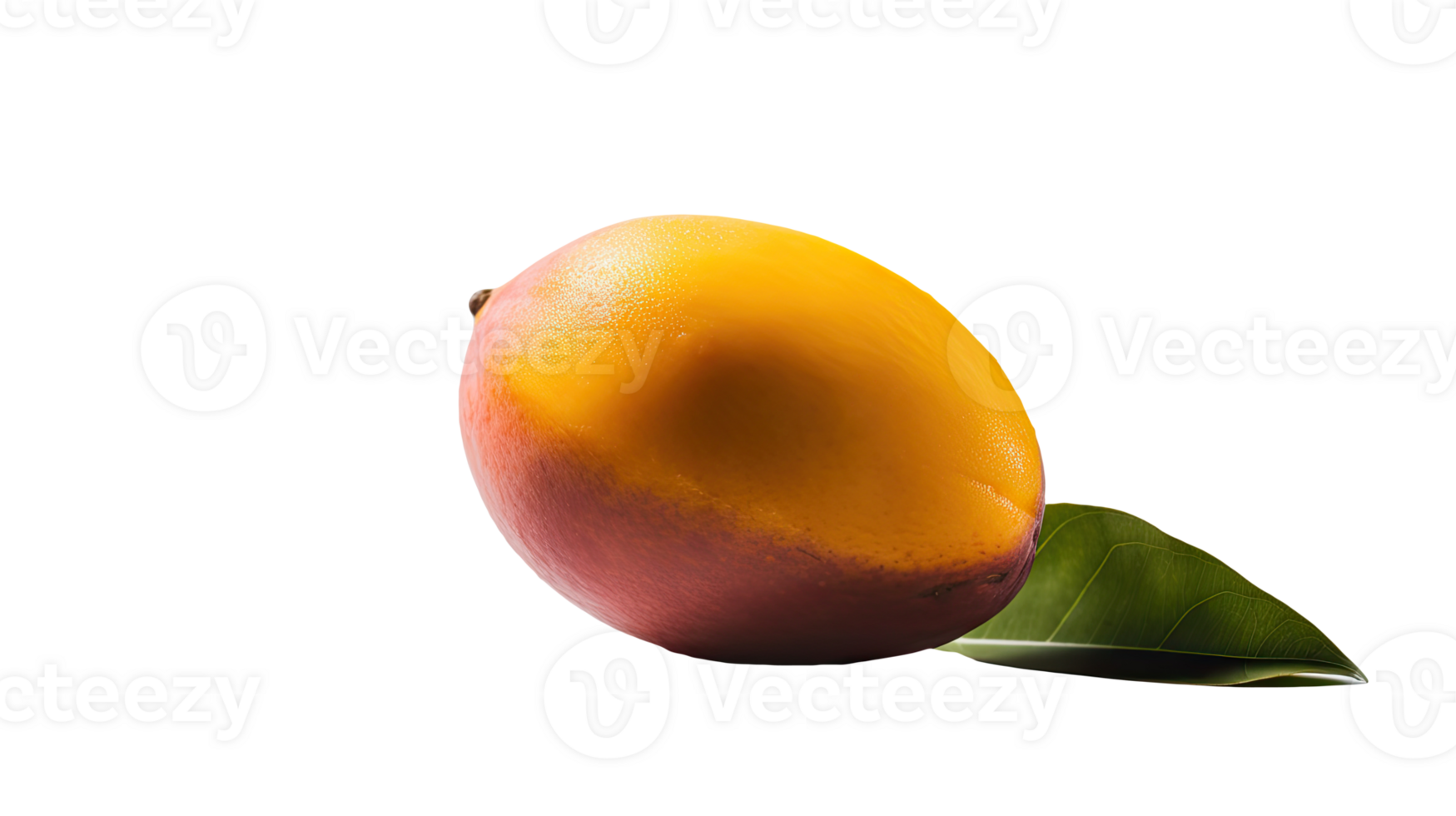 Isolated Marian Plum with Green Leaf on Background, . png