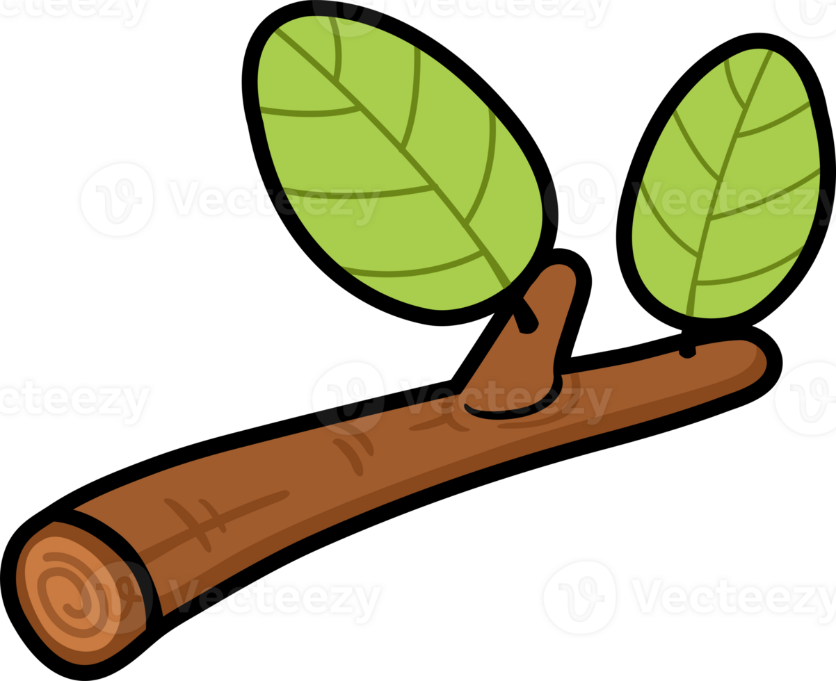 tree branch outline png