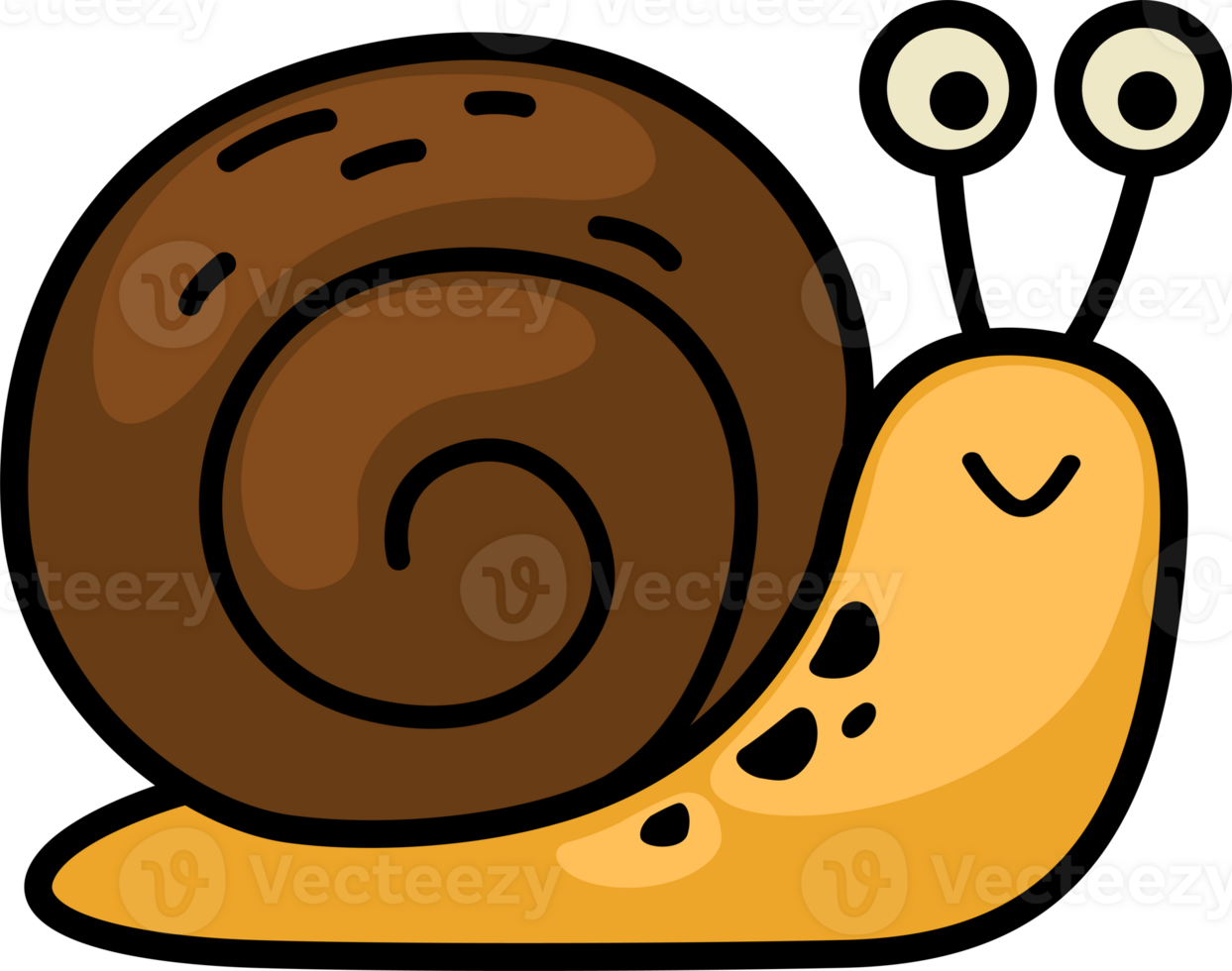 cartoon snail outline png