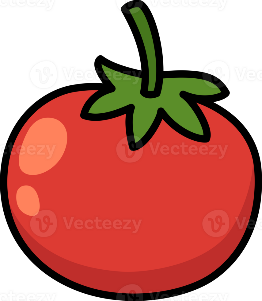 Cartoon tomato outline 24063019 png