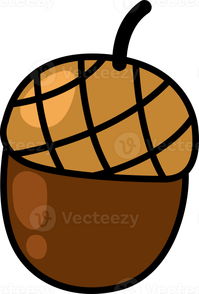 cartoon acorn outline png
