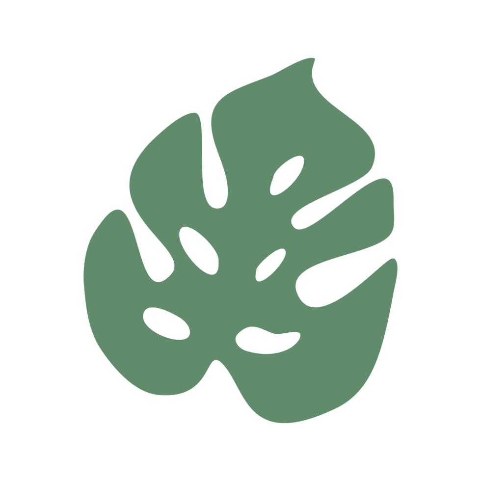 Monstera leaves png. png