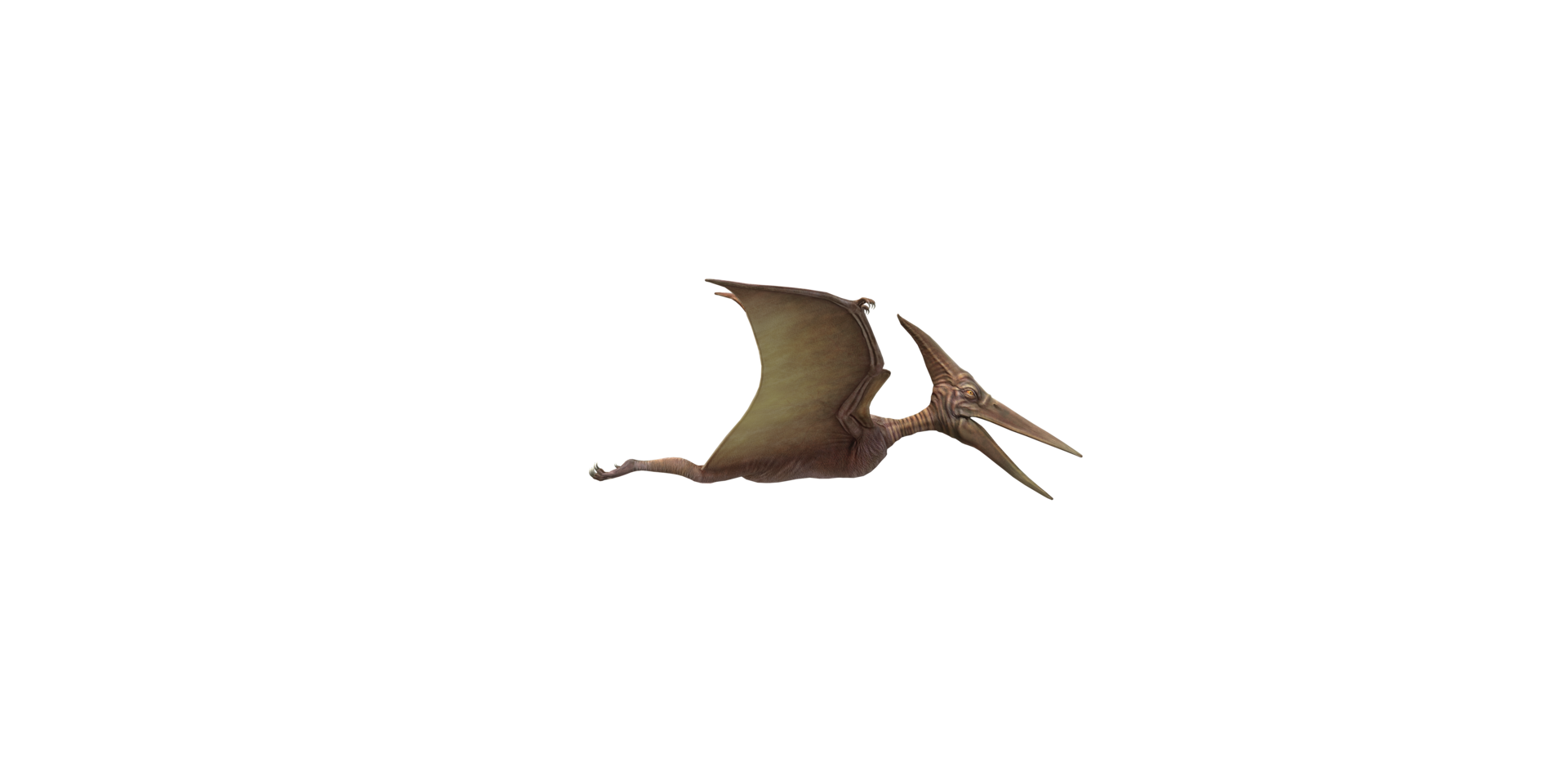 Pterodactyl isolated on a Transparent Background 24063798 PNG