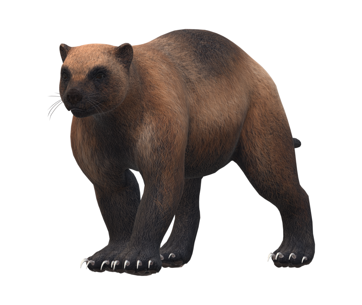 Wolverine isolated on a Transparent Background png