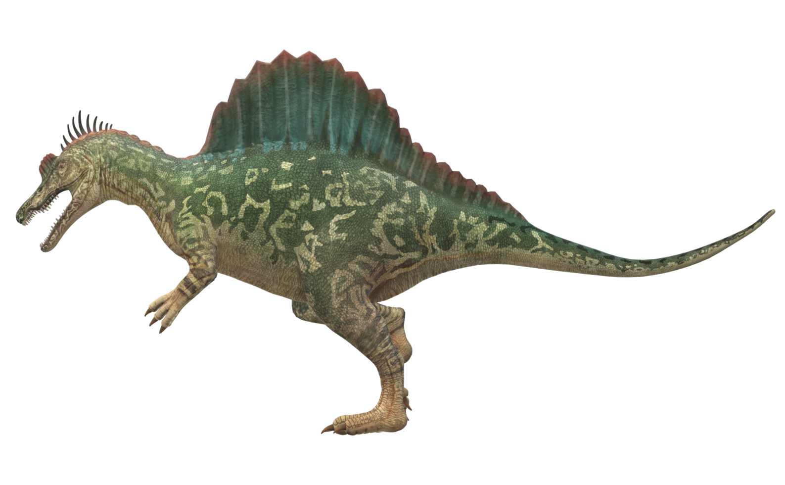 Spinosaurus isolated on a Transparent Background png
