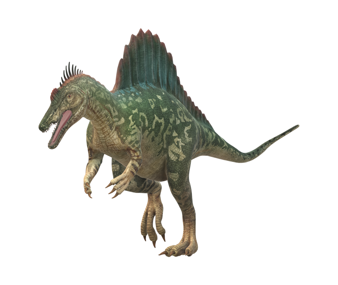 Spinosaurus isolated on a Transparent Background png
