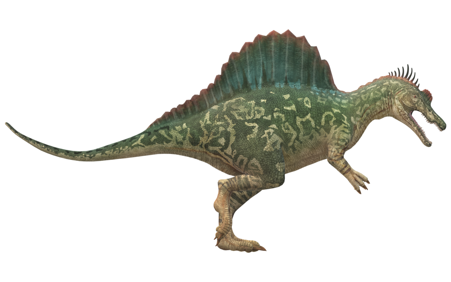 Spinosaurus isolated on a Transparent Background png