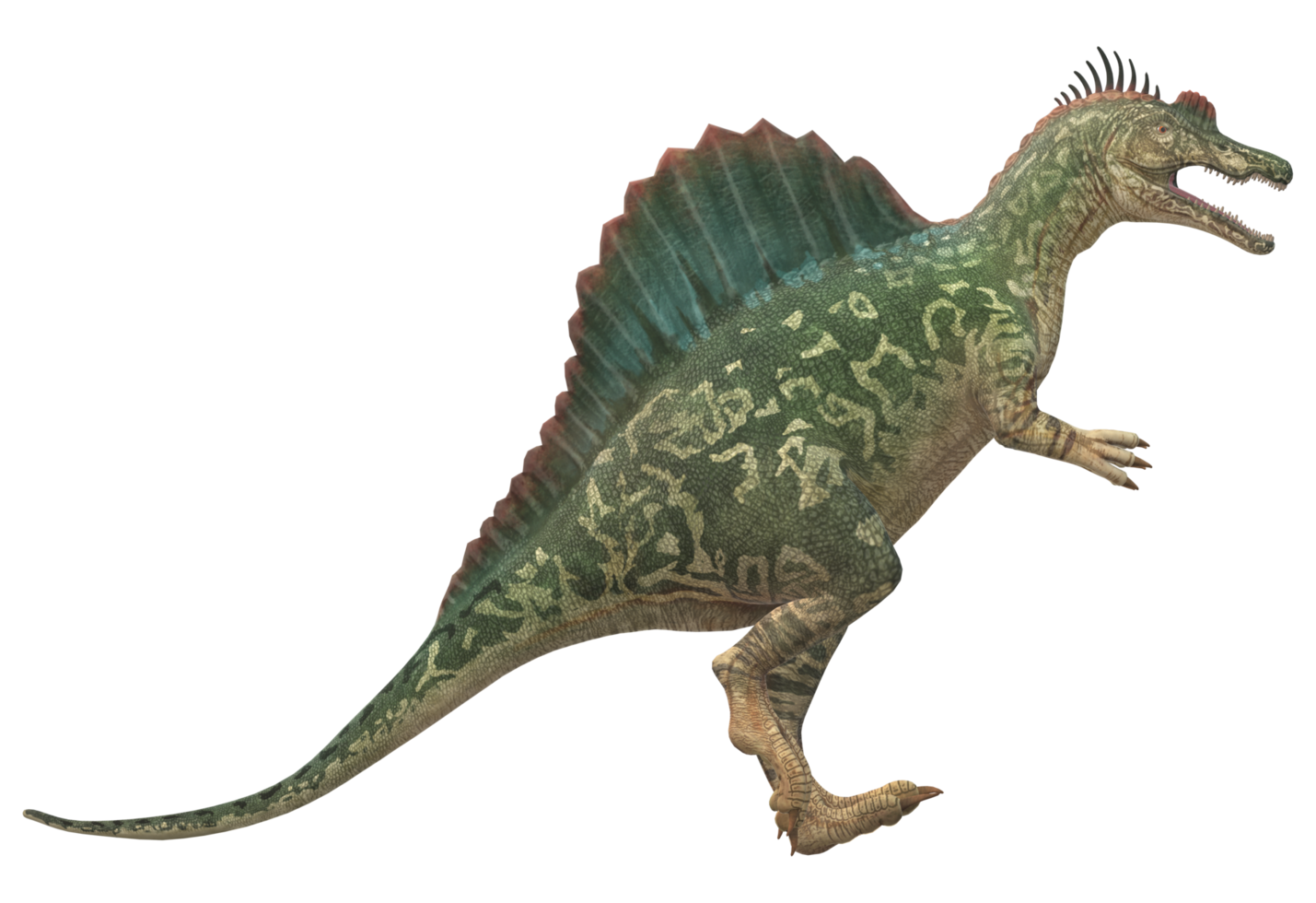 Spinosaurus isolated on a Transparent Background png